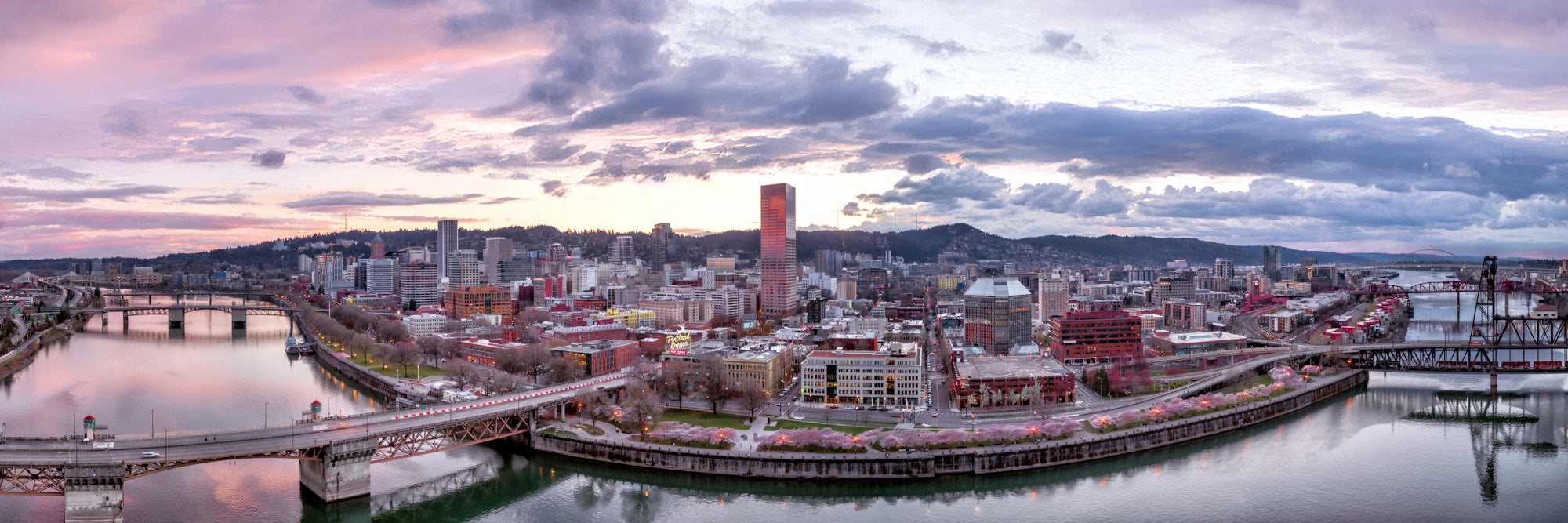 CherryBlossomsAtDusk