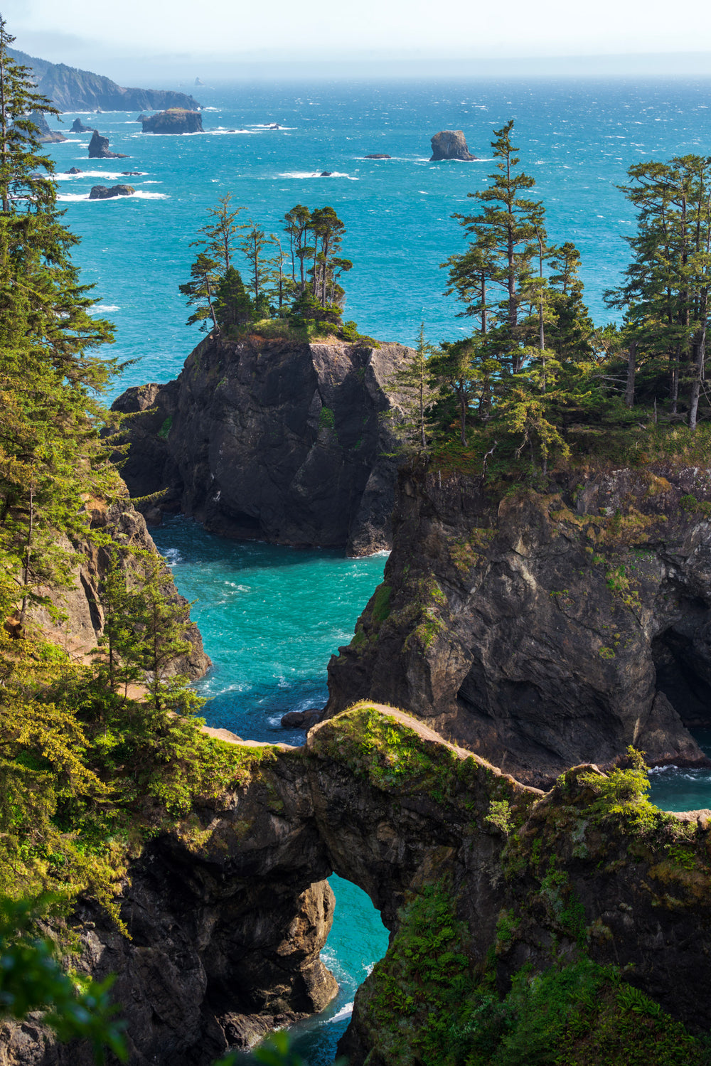 Edge of the Infinite