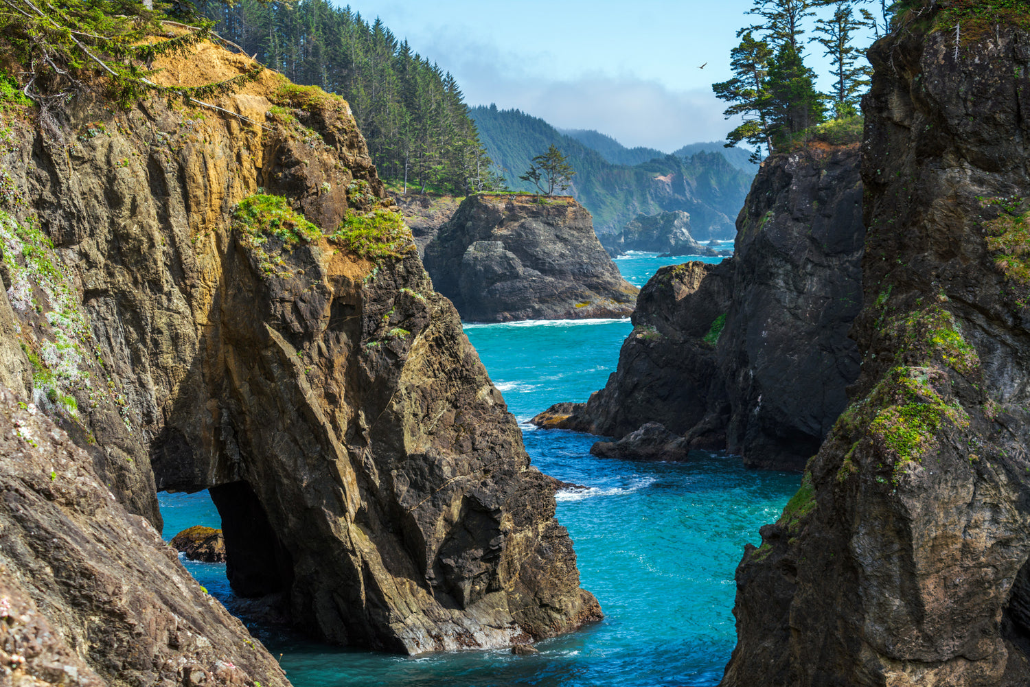 Flight Over the Passage