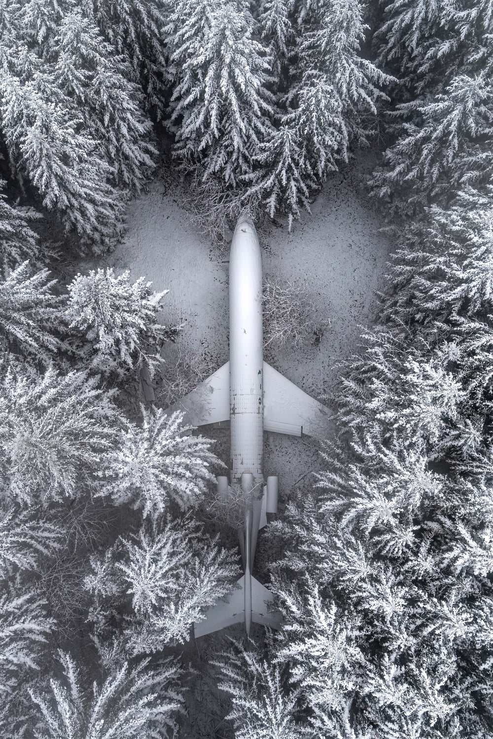 The House That Loved the Sky