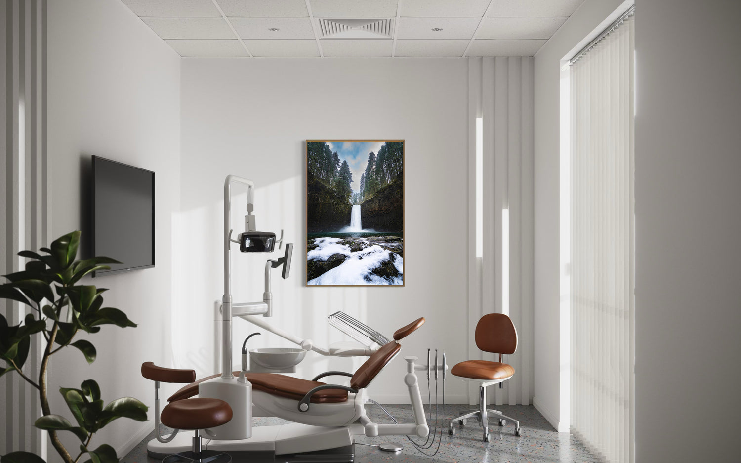 Winter's Echo at Abiqua